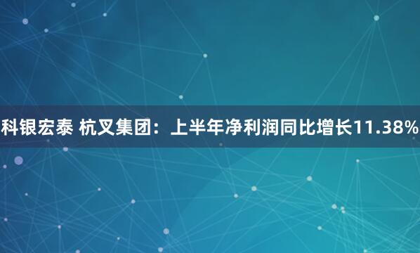 科银宏泰 杭叉集团：上半年净利润同比增长11.38%