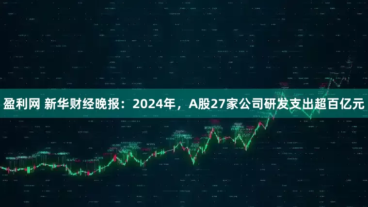 盈利网 新华财经晚报：2024年，A股27家公司研发支出超百亿元
