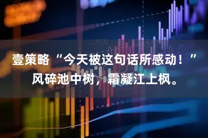 壹策略 “今天被这句话所感动！”风碎池中树，霜凝江上枫。