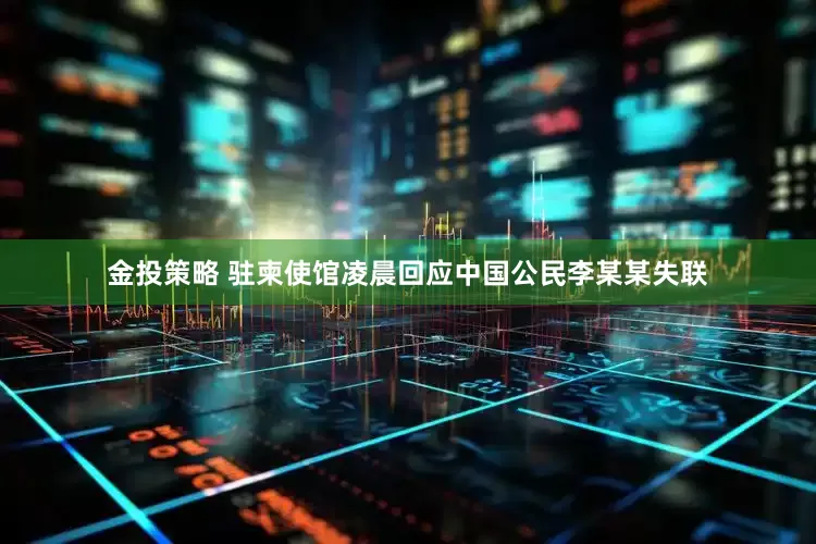 金投策略 驻柬使馆凌晨回应中国公民李某某失联
