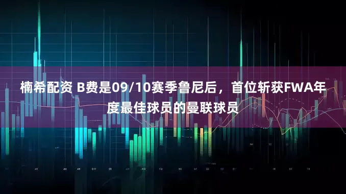 楠希配资 B费是09/10赛季鲁尼后，首位斩获FWA年度最佳球员的曼联球员